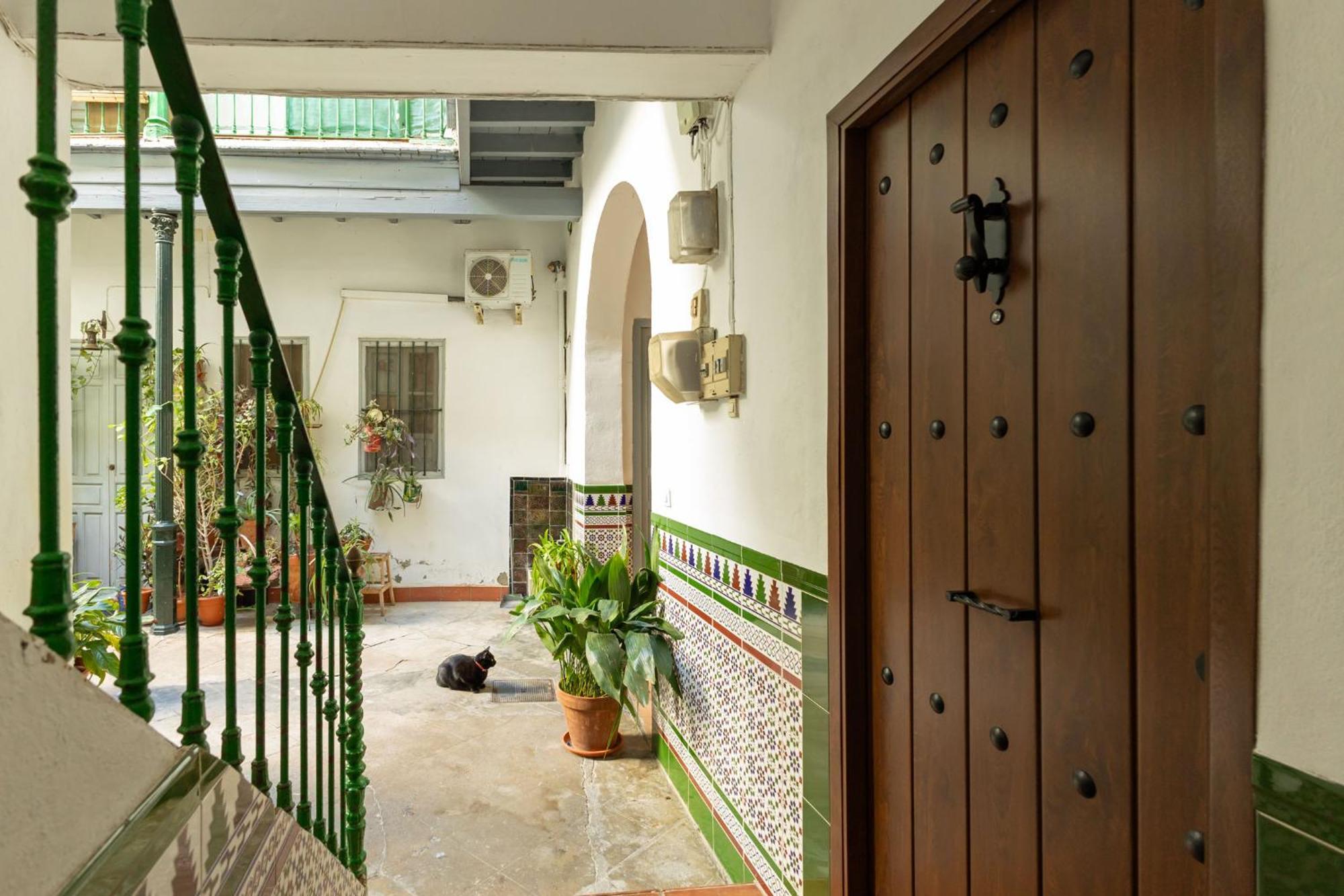 Modern Spacious Of Apartment Seville